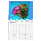 Calendrier Une étincelle de l'amour (Mar 2027)