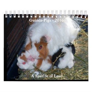 Calendrier Une étincelle de l'amour