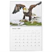 Calendrier Une famille d'aigle (Jan 2027)