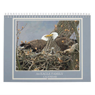 Calendrier Une famille d'aigle