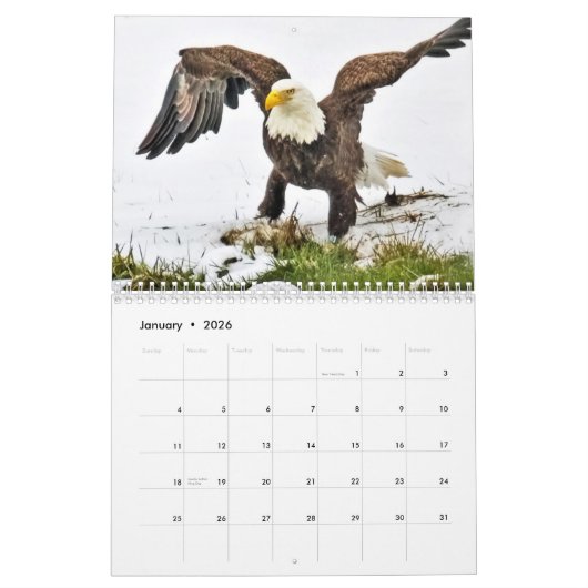 Calendrier Une famille d'aigle (Jan 2026)