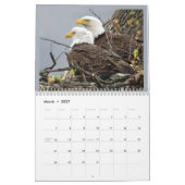 Calendrier Une famille d'aigle (Mar 2027)