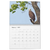 Calendrier Une famille d'aigle (Feb 2027)