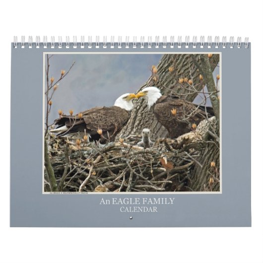 Calendrier Une famille d'aigle (Protection)