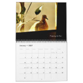 Calendrier Une histoire d'oiseaux nichons (Jan 2027)