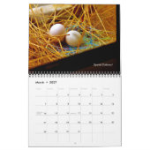 Calendrier Une histoire d'oiseaux nichons (Mar 2027)