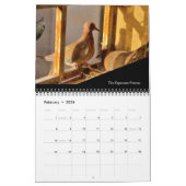 Calendrier Une histoire d'oiseaux nichons (Feb 2026)