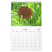 Calendrier - une page - Fleurs de jardin (Jan 2026)