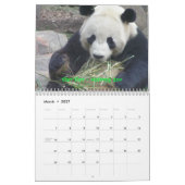 Calendrier Une passion pour des pandas ! , 2009 classent, (Mar 2027)