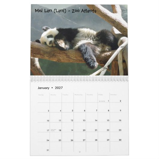 Calendrier Une passion pour des pandas ! , 2009 classent, (Jan 2027)