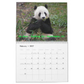 Calendrier Une passion pour des pandas ! , 2009 classent, (Feb 2027)