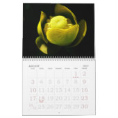 Calendrier une touche de jaune pour 2025 (Jan 2027)
