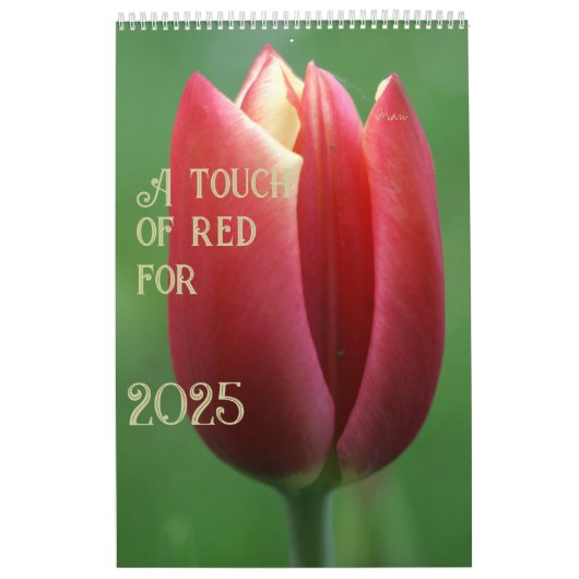 Calendrier une touche de rouge pour 2025 (Protection)