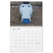 Calendrier urbain d'art : eyebombing (Mar 2027)