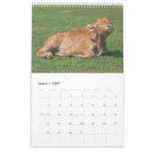 Calendrier Vaches (Mar 2027)
