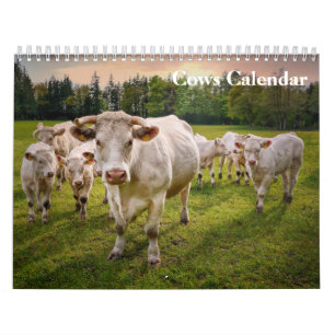 Calendrier Vaches 2027
