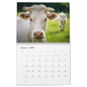 Calendrier Vaches 2027 (Jan 2027)
