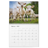 Calendrier Vaches 2027 (Feb 2027)