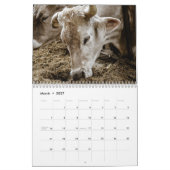 Calendrier Vaches 2027 (Mar 2027)