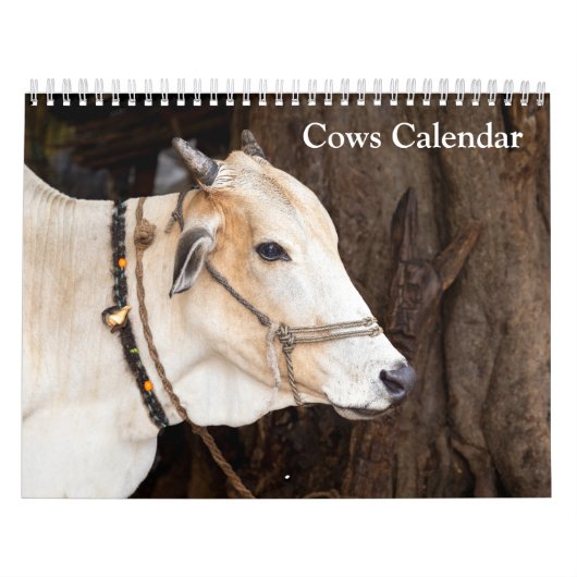 Calendrier Vaches 2027 (Protection)