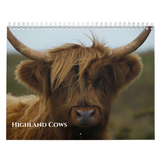 Calendrier Vaches des Highlands 2026 (Protection)