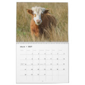 Calendrier Vaches des Highlands 2026 (Mar 2027)