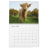 Calendrier Vaches des Highlands 2026 (Jan 2027)