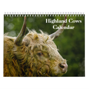 Calendrier Vaches des Highlands 2027