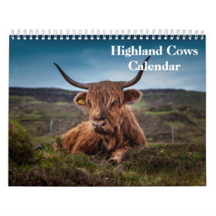 Calendrier Vaches des Highlands 2027
