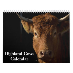 Calendrier Vaches des Highlands 2027
