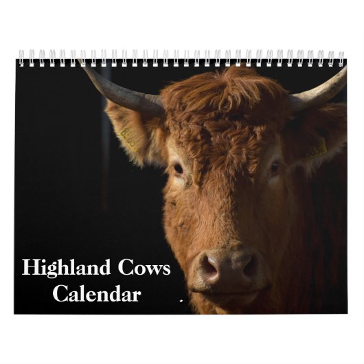 Calendrier Vaches des Highlands 2027 (Protection)