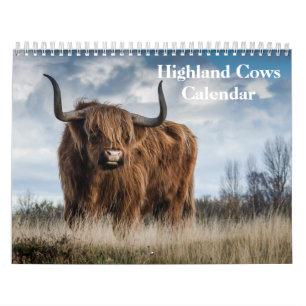 Calendrier Vaches des Highlands 2027