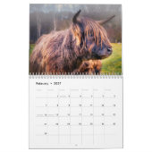 Calendrier Vaches des Highlands 2027 (Feb 2027)