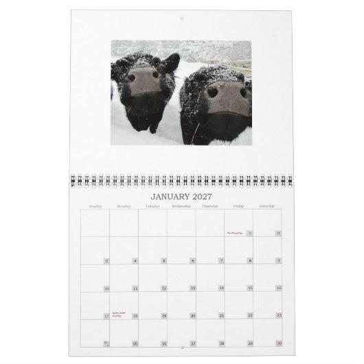 Calendrier Vaches et veaux 2015 (Jan 2027)