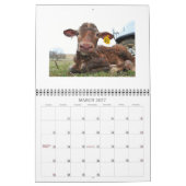Calendrier Vaches et veaux 2015 (Mar 2027)