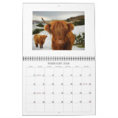 Calendrier Vaches et veaux 2015 (Feb 2026)