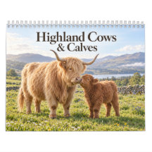 Vaches et veaux des Highlands dans la campagne éco