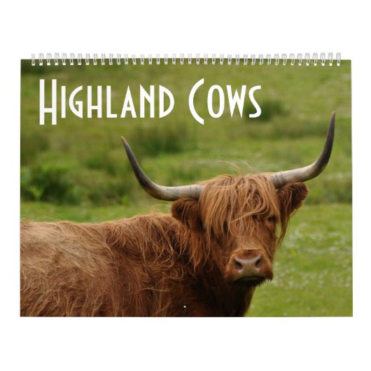 Calendrier Vaches Highland - 12 mois de bovins Highland - (Protection)