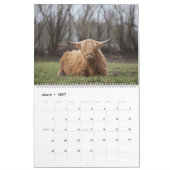Calendrier Vaches Highland - 12 mois de bovins Highland - (Mar 2027)