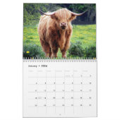 Calendrier Vaches Highland 2025 (Jan 2026)