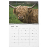 Calendrier Vaches Highland 2025 (Mar 2027)
