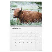 Calendrier Vaches Highland 2025 (Feb 2027)