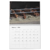 Calendrier Vaches, veaux et taureaux 2016 (Feb 2026)