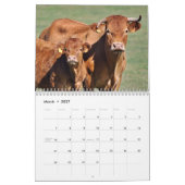 Calendrier Vaches, veaux et taureaux 2016 (Mar 2027)