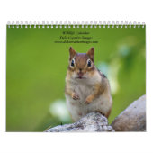 Calendrier Variété de la faune 2026 (Protection)