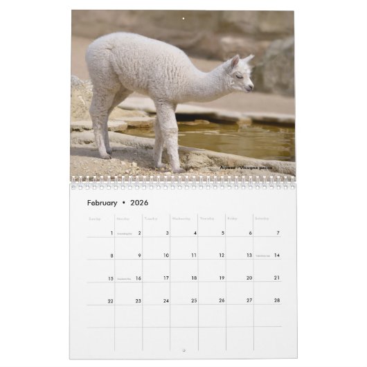 Calendrier Various animals of South America Calendar (Feb 2026)