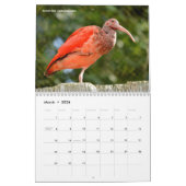 Calendrier Various animals of South America Calendar (Mar 2026)