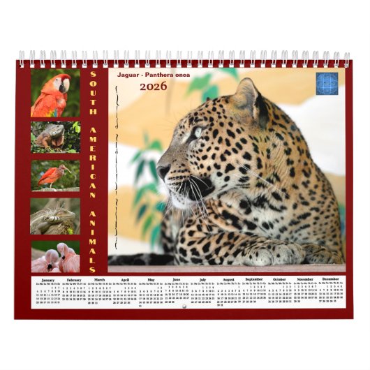 Calendrier Various animals of South America Calendar (Protection)