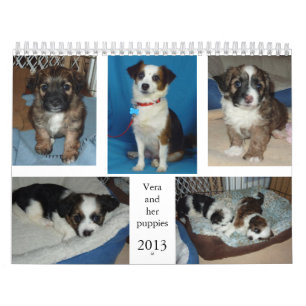 Calendrier Vera et ses chiots