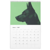 Calendrier Veterinary Clinic Dog (Mar 2027)